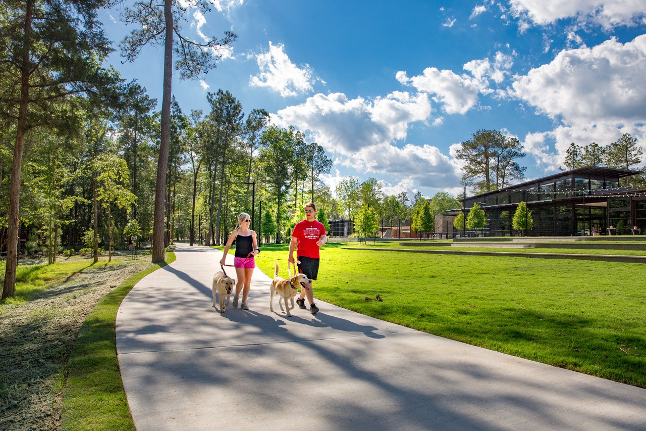 Enjoy The Simple Pleasures Of A Leisurely Walk In The Woodlands Hills