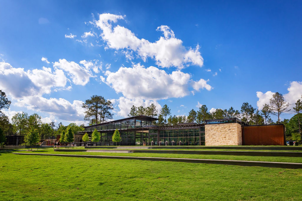 FP - The Woodlands Hills-Activity Center-1