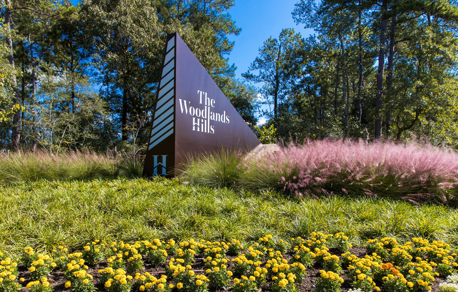 The Woodlands Hills – 3 Years And Thriving!